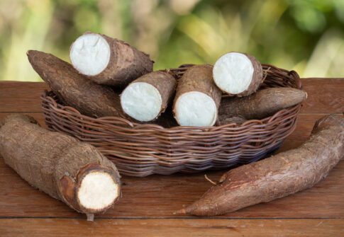 Cassava